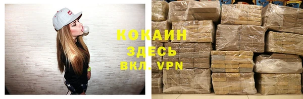 ешки Алексин