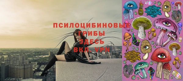 кристаллы Алзамай